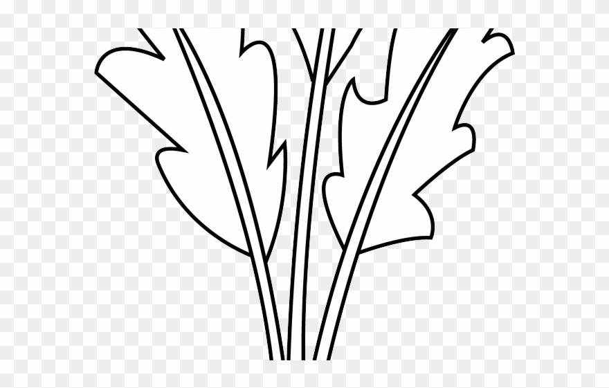 Beetroot Clipart Sugar Beet - Line Art - Png Download