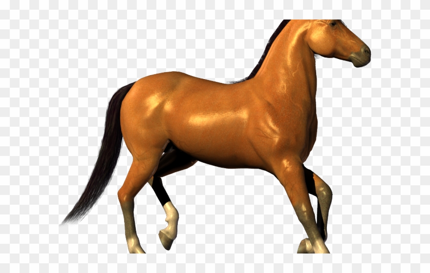 Pony Clipart Transparent Background - Clip Art - Png Download