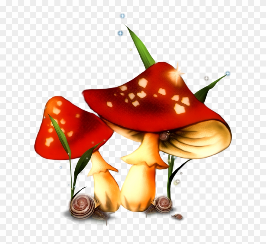 Фотки Stuffed Mushrooms, House Clipart, Mushroom House, - Champignon Animation - Png Download