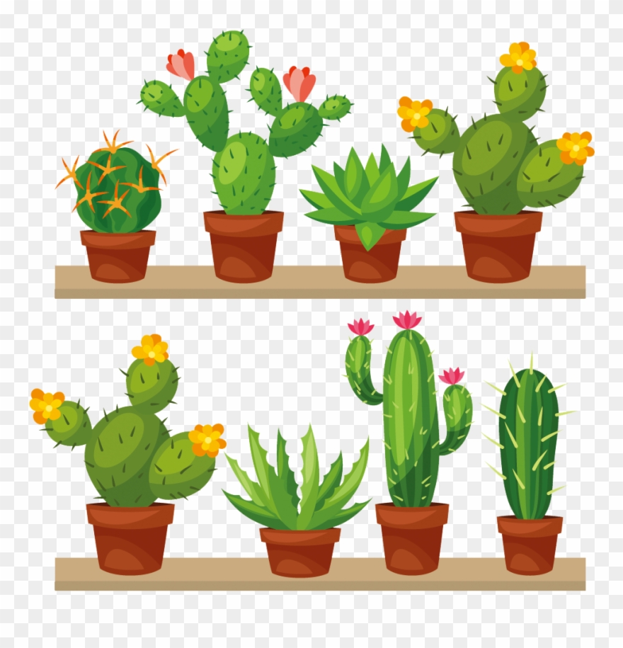 Cactus Transparent Png Clip Art Image - Mi Casa Es Su Casa Cactus