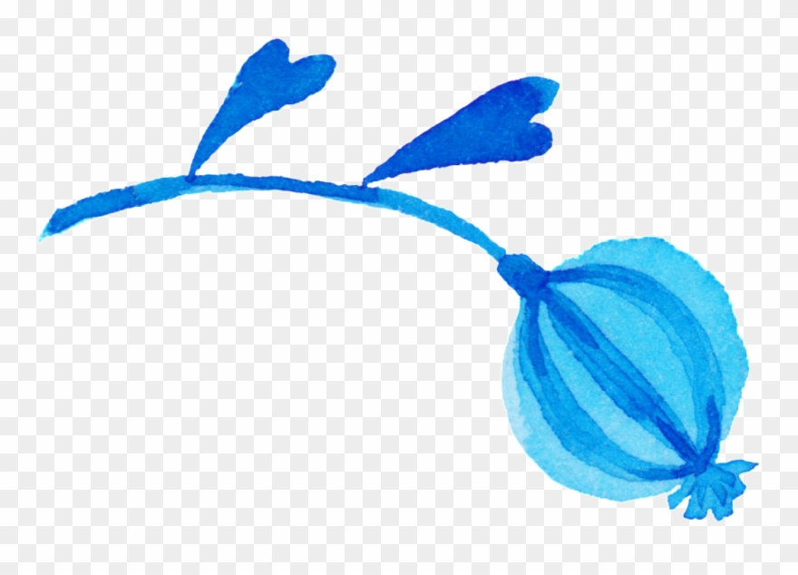 Hand Painted Poppies Decoration Vector Clipart