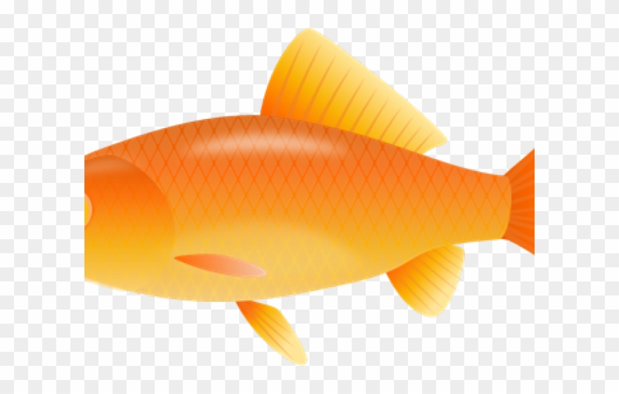 Fish Clip Art No Background - Png Download