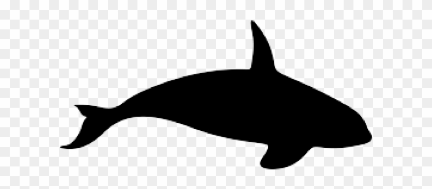 Silhouette Clipart Whale - Killer Whale - Png Download