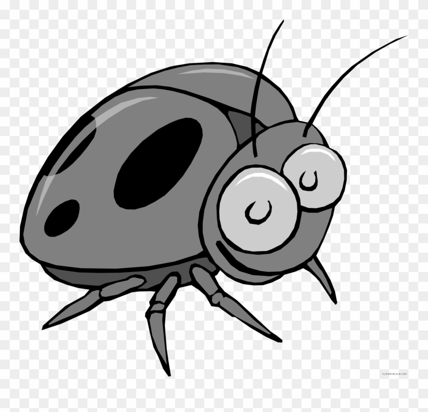 Insect Bug Animal Free Black White Clipart Images Clipartblack - Orange Beetle Cartoon - Png Download