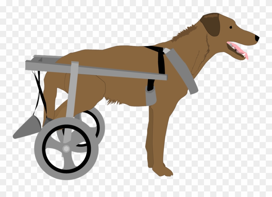 Dog With Wheelchair - Dog Yawns Clipart