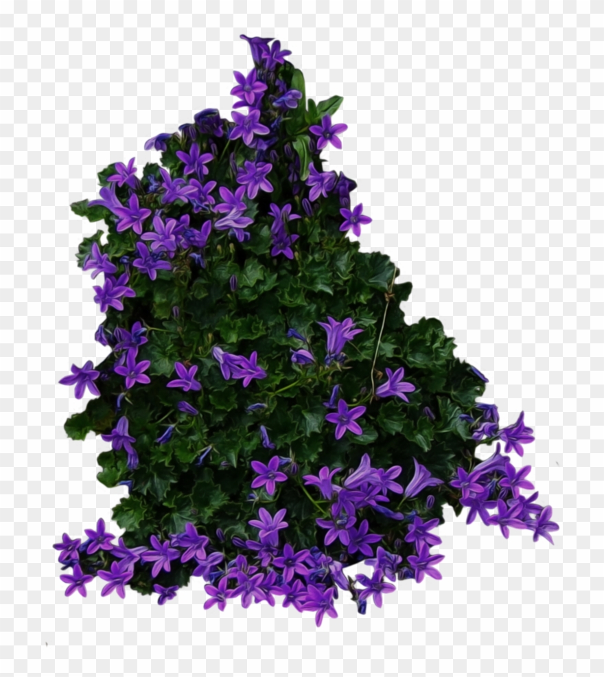 Bush Png Image, Download Png Image With Transparent - Transparent Background Flower Bush Clipart