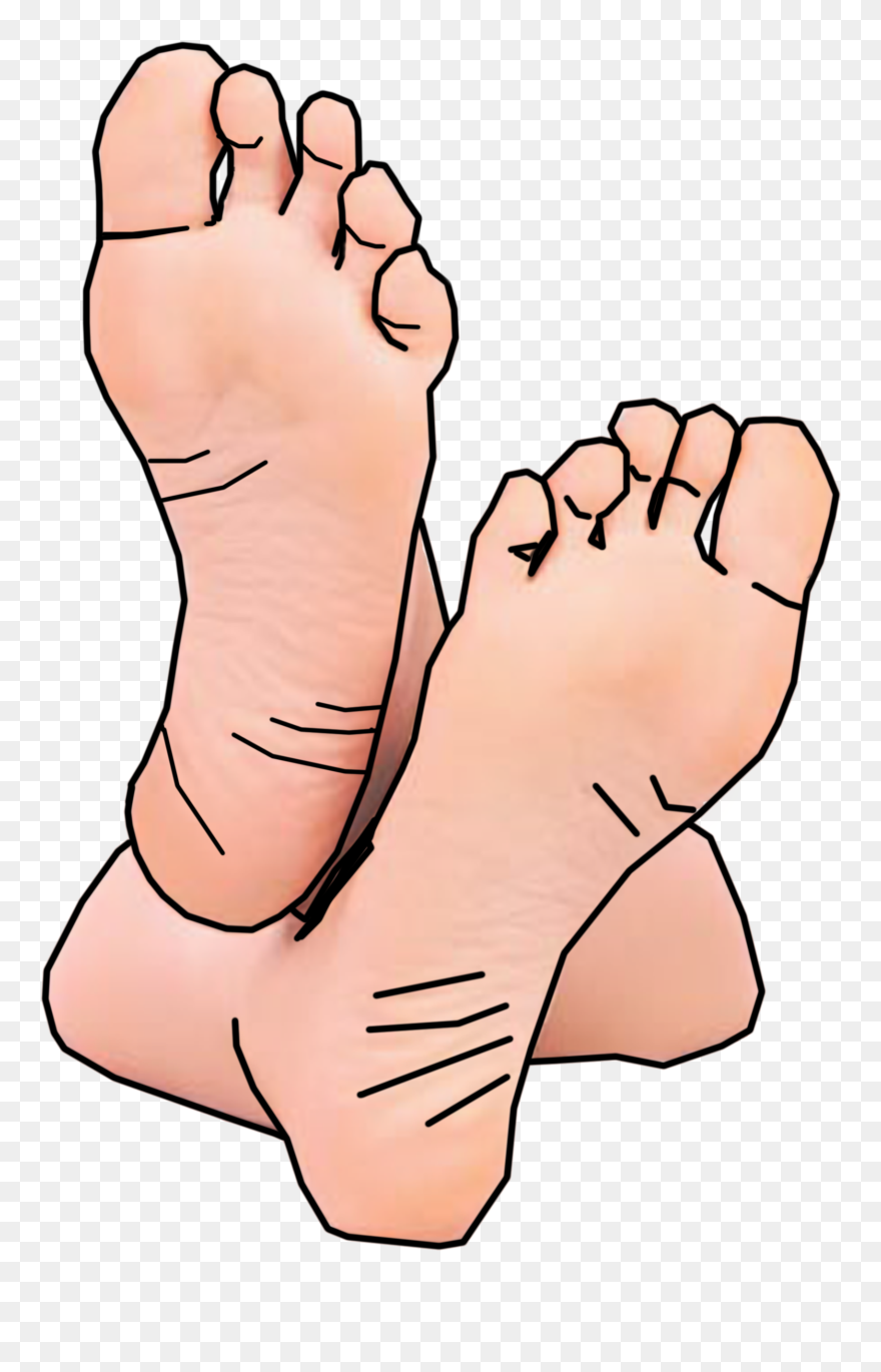 10020805 - >> - Feet Clipart - Png Download