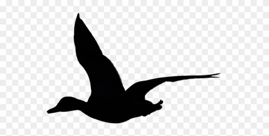 Geese Migration Clipart Birds Flying High - Flying Duck Silhouette Png Transparent Png