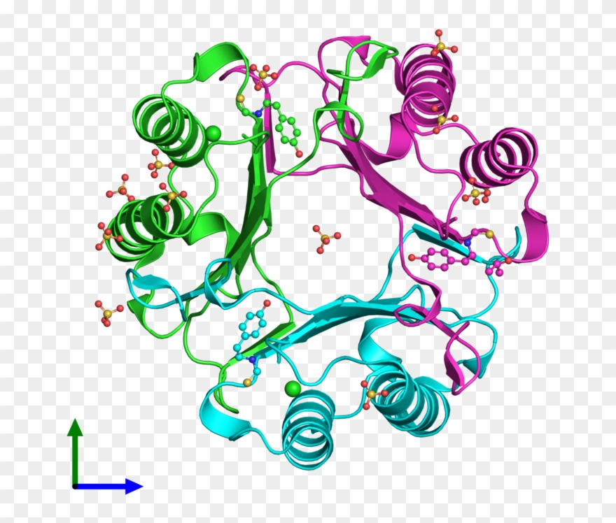 Pdb 4osf Coloured By Chain And Viewed From The Front - Illustration Clipart