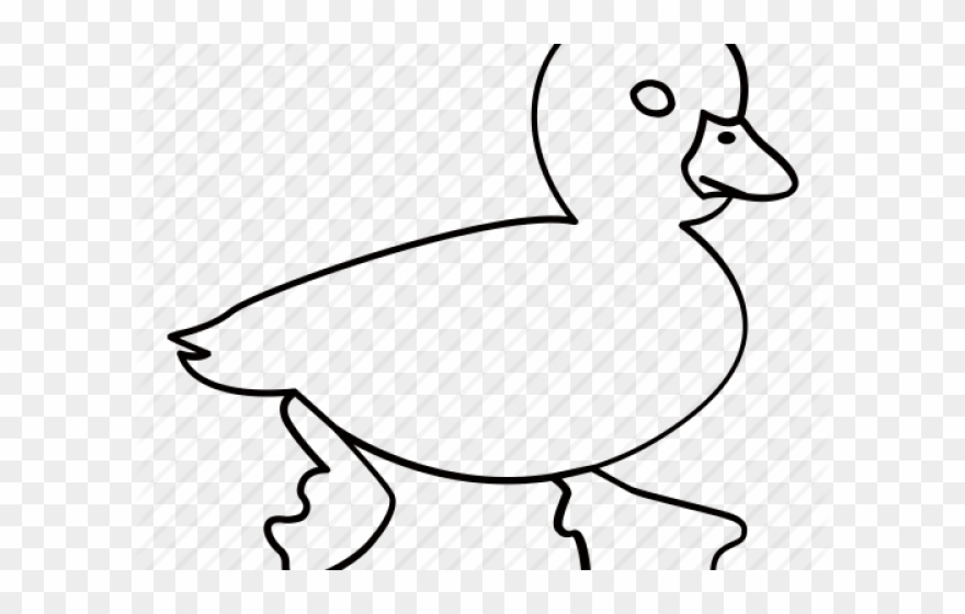Drawn Duck Water Outline - Pato Para Colorear Clipart