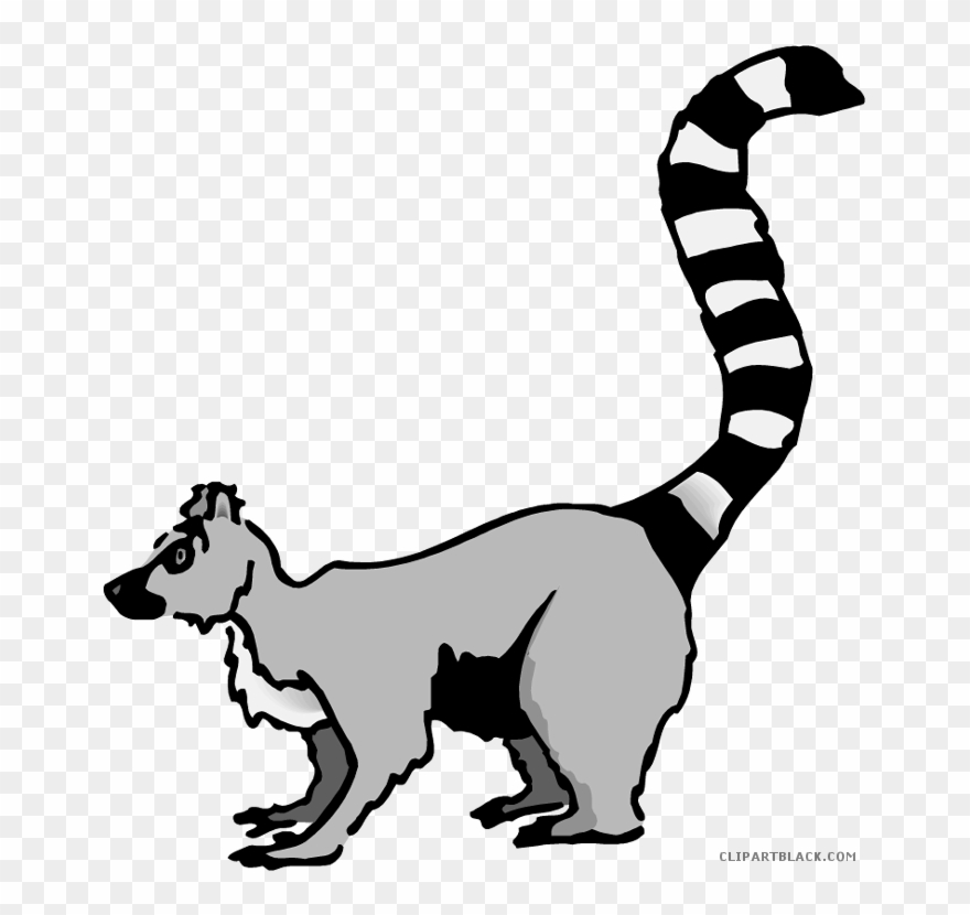 Lemur Animal Free Black White Clipart Images Clipartblack - Lemur Clipart - Png Download