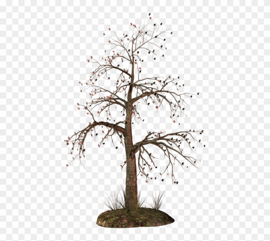 Dead Tree Png - Transparent Background Died Tree Clipart