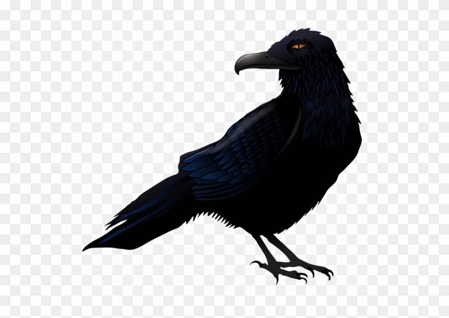 Halloween Crow Png High-quality Image - Raven Png Clipart