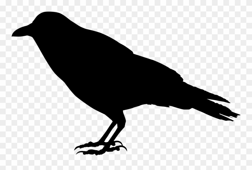 Crow Silhouette - 3d Raven Clipart