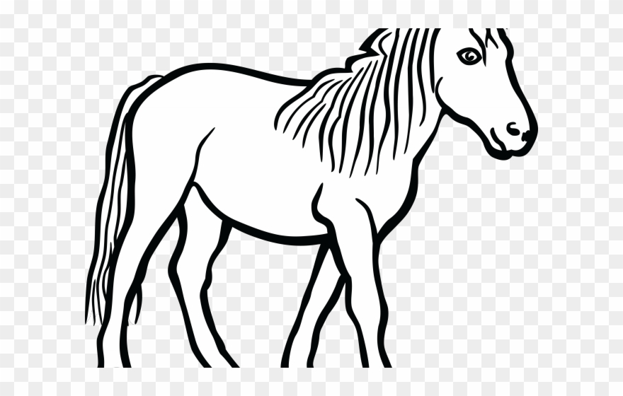 Stallion Clipart Black And White - Horse Clip Art Black And White - Png Download