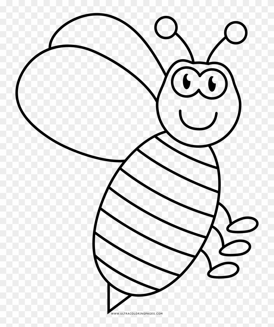 Wasp Coloring Page - Cartoon Clipart
