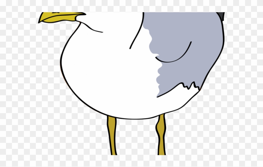 Seagull Clipart 3 Bird - Gull Clip Art - Png Download