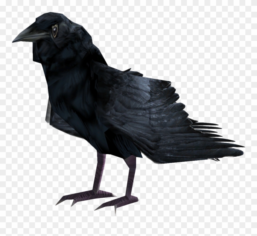 Download Png Image Report - Giant Raven Transparent Clipart