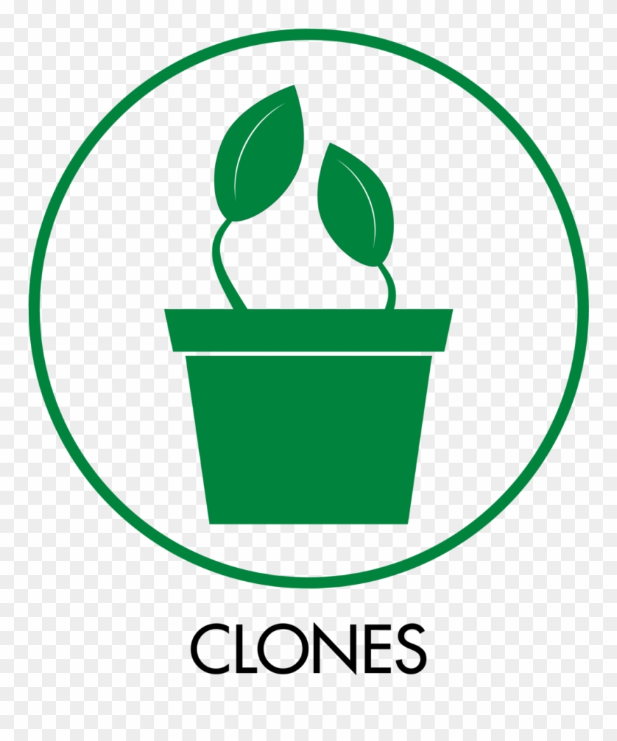 Category Icons Clones - Cannabis Clone Icon Clipart