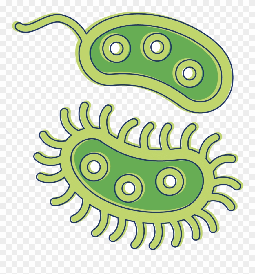 Animated Bacteria Clipart - Illustration - Png Download