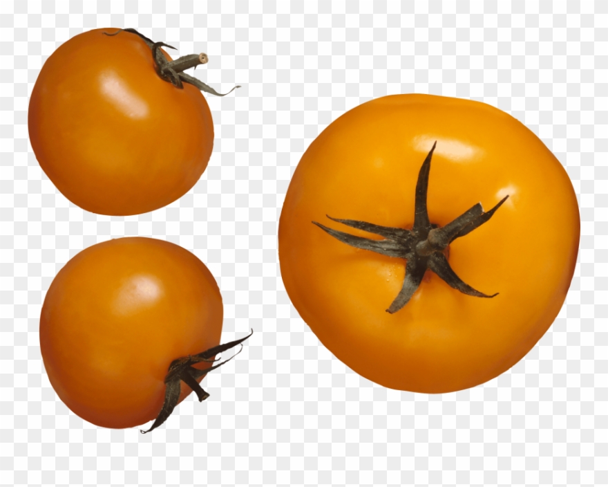 Free Png Download Tomato Png Images Background Png - Yellow Tomato Png Clipart