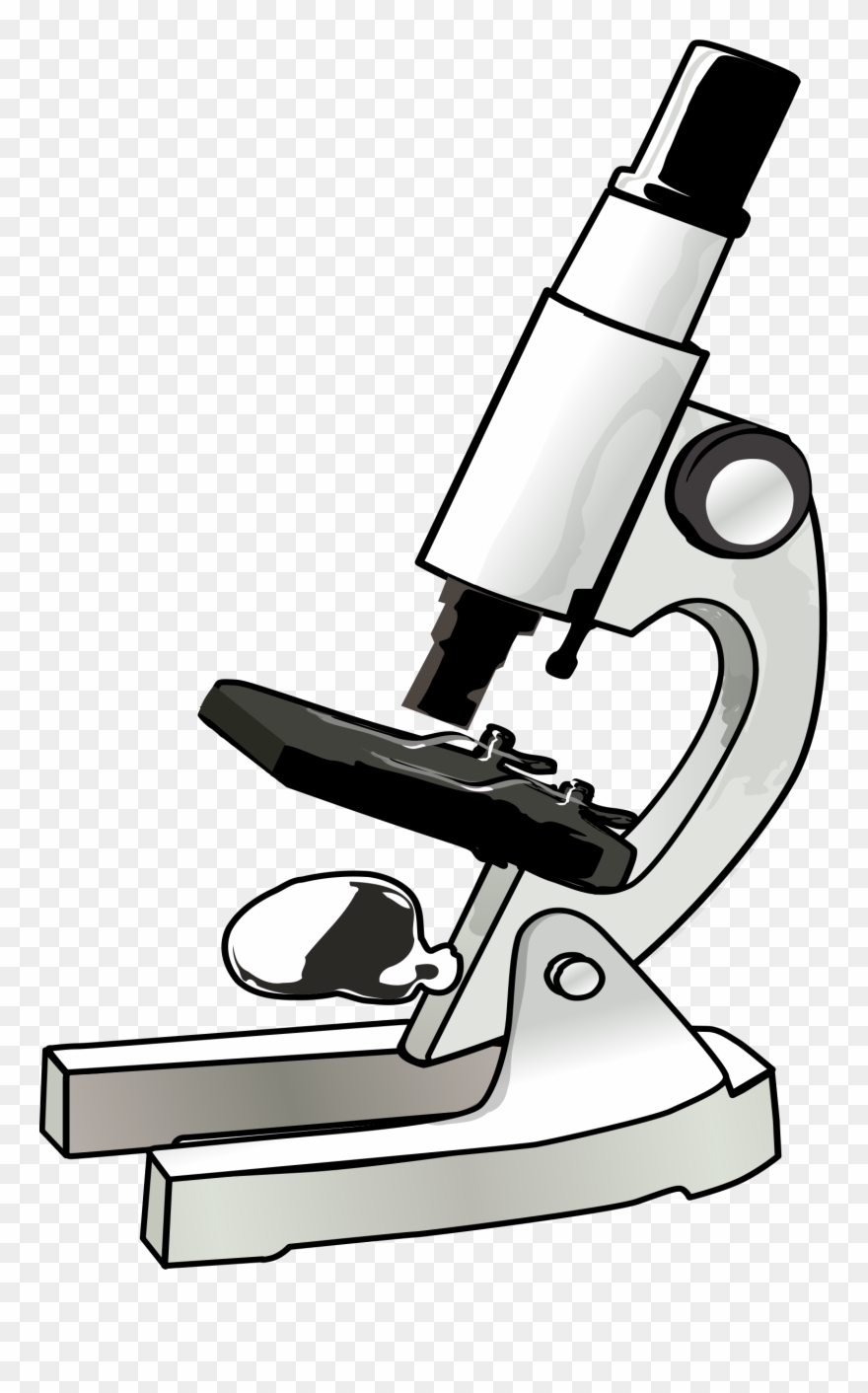 Clipart Of Assure, Beth And Swift - Microscope Color - Png Download