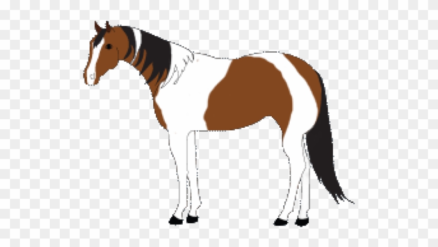 Paint Clipart Horse - Stallion - Png Download