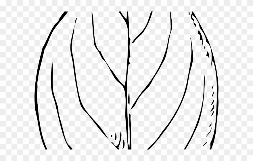 Maple Leaf Clipart 2 Leaves - Line Art - Png Download