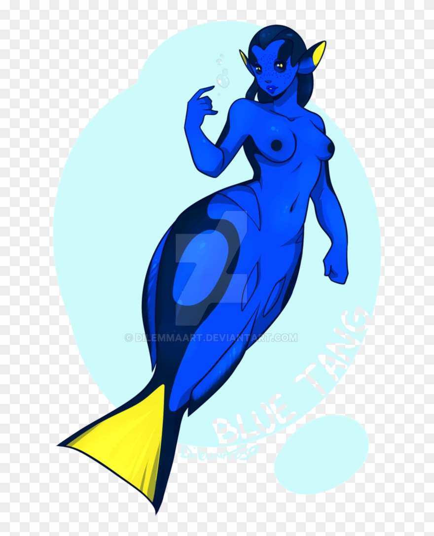 751 X 1063 3 - Blue Tang Clipart