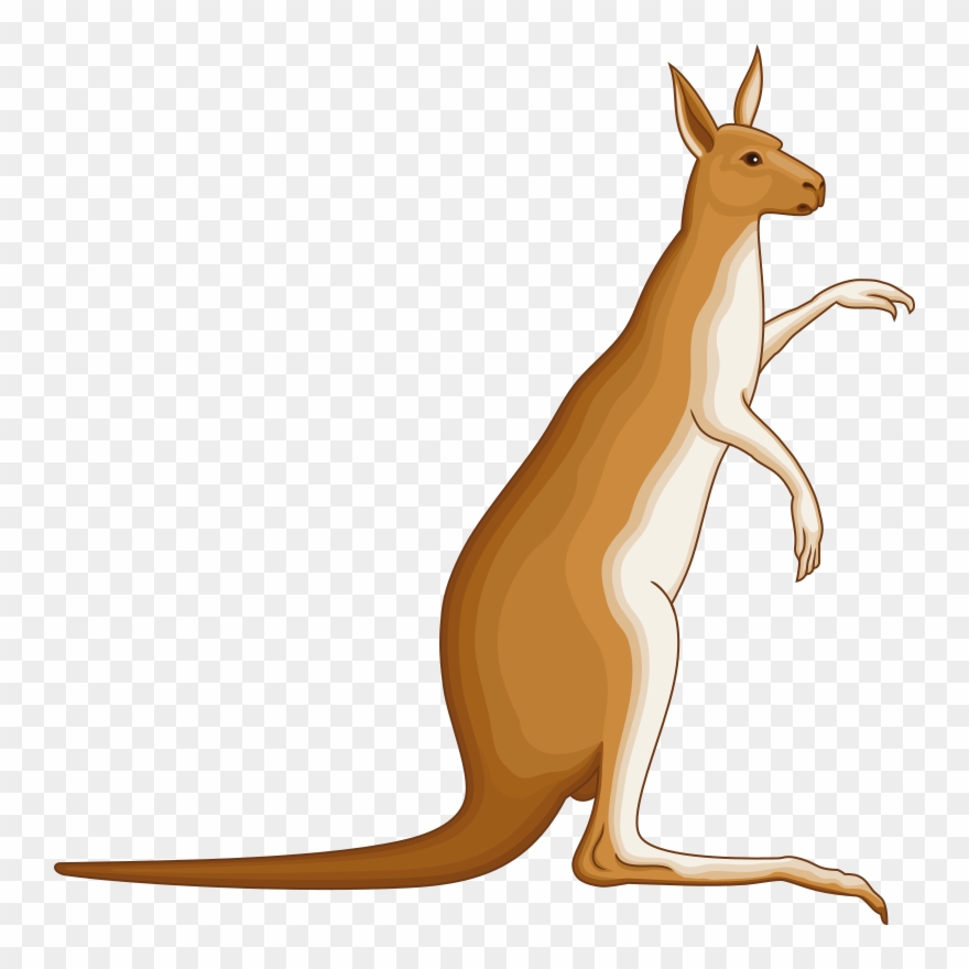 Clipart - Kangaroo - Kangaroo Coat Of Arms - Png Download