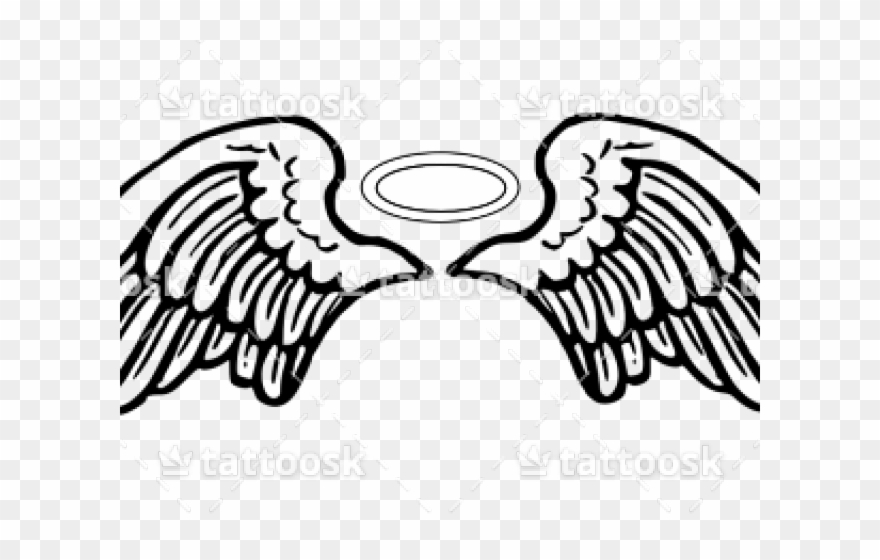 Wings Clipart Cartoon - Angel Wings Vector Png Transparent Png