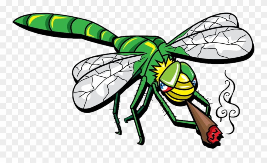 Jb Dragonfly Transparent Clipart
