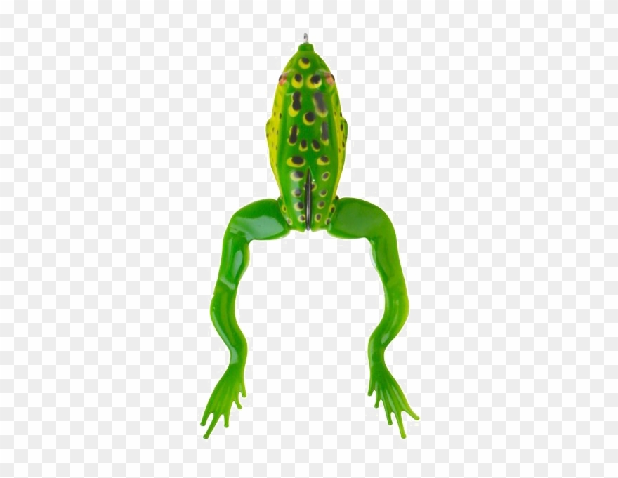 Jumping Frog Png Transparent Image - Broasca Pescuit Clipart