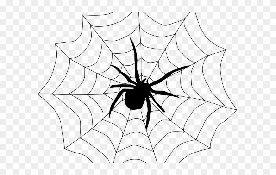 Spider Web Clipart Spider Silk - Spider In A Web Drawing - Png Download