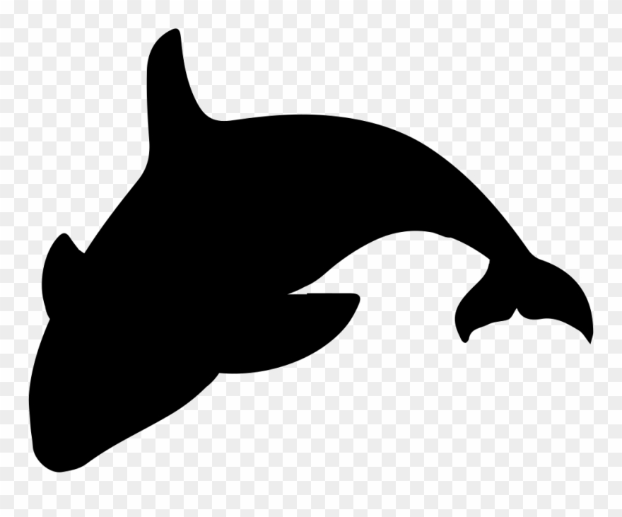 982 X 772 0 - Orca Silhouette Clipart