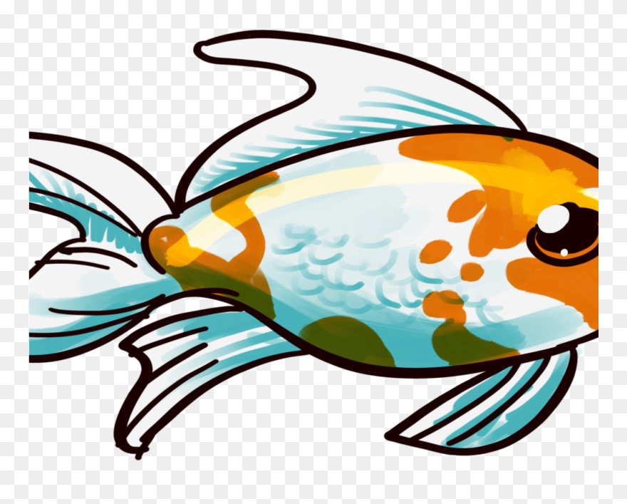 Comet Care And Info Ⓒ - Goldfish Clipart