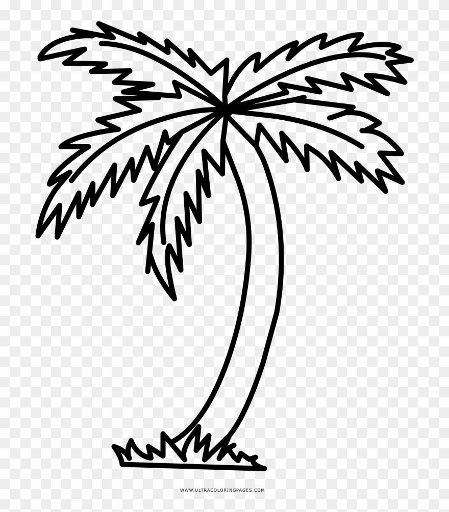 Palm Tree Coloring Page - Palmeira Para Colorir Clipart