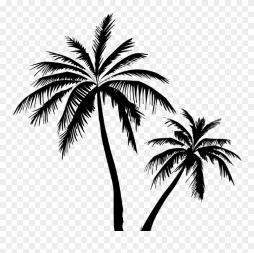 Coconut Tree Vector Free Clipart