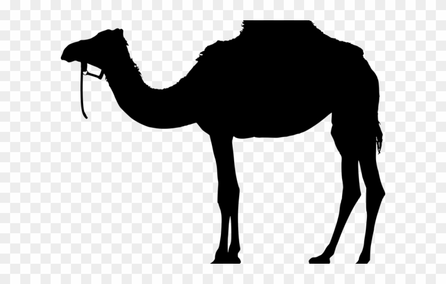 Camel Clipart Pixel Art - Bedouin Png Transparent Png
