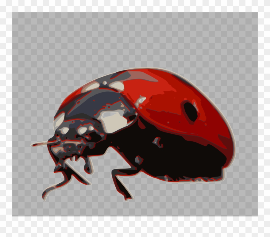 This Free Icons Png Design Of Ladybird-beetle Clipart