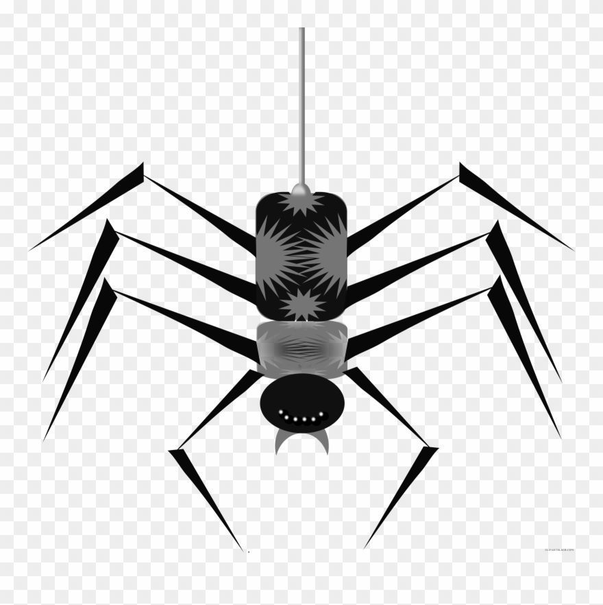Spider Animal Free Black White Clipart Images Clipartblack - Cartoon Spider Animated - Png Download