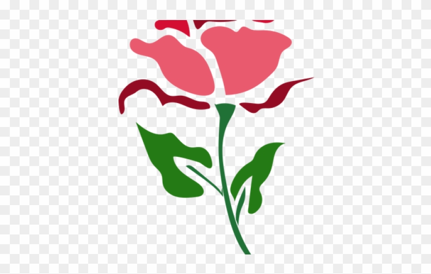 Rose Clipart Doodle - Rosa Png Fundo Branco Transparent Png
