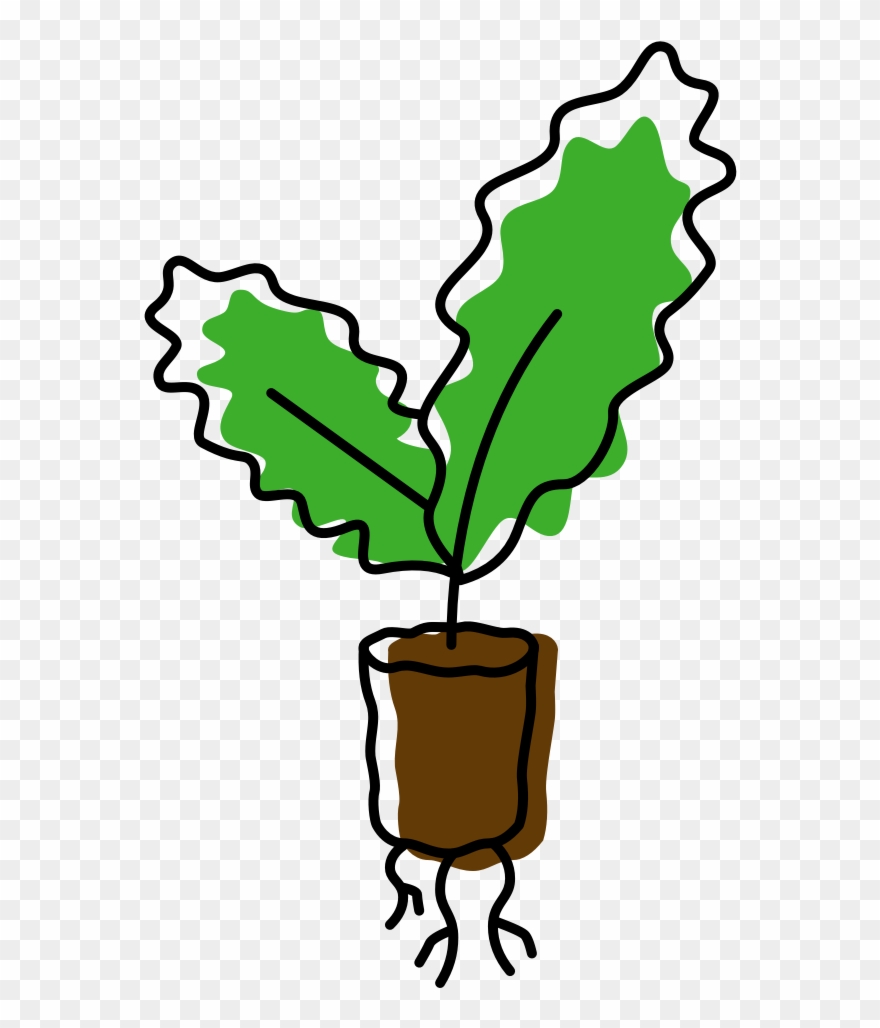 Growing At Home Is The Healthy, Hyper-local Future Clipart