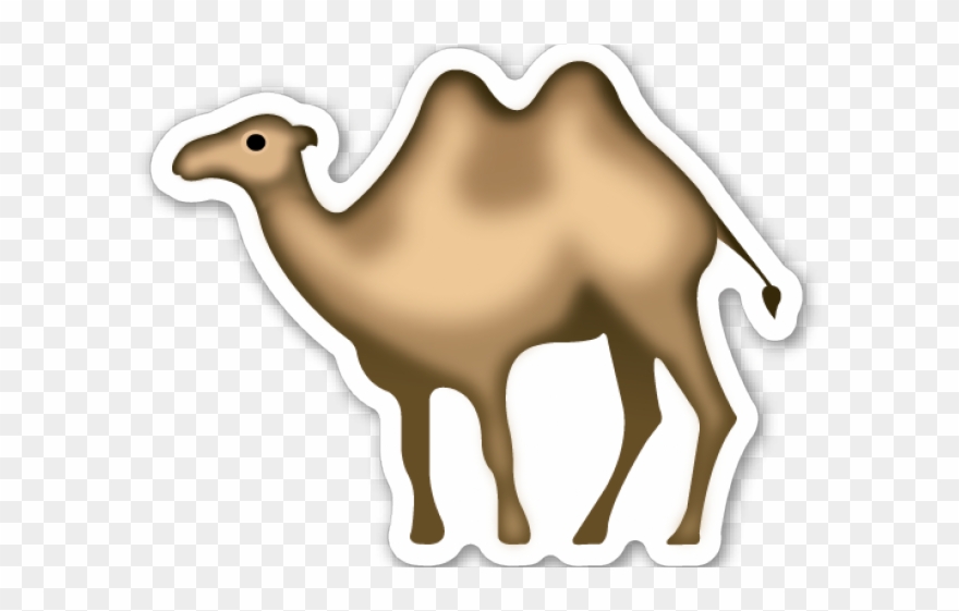 Camel Clipart Bactrian Camel - Camel With No Background - Png Download