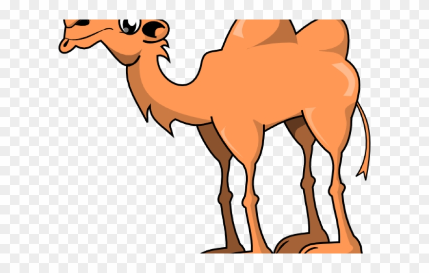 Camels Clipart Easy - Cartoon Camel Two Humps - Png Download