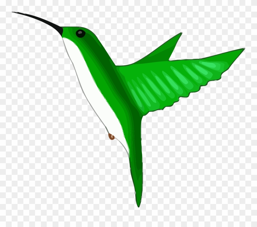 Green Bee Eater Clipart Png - Hummingbird Clipart Gif Transparent Png