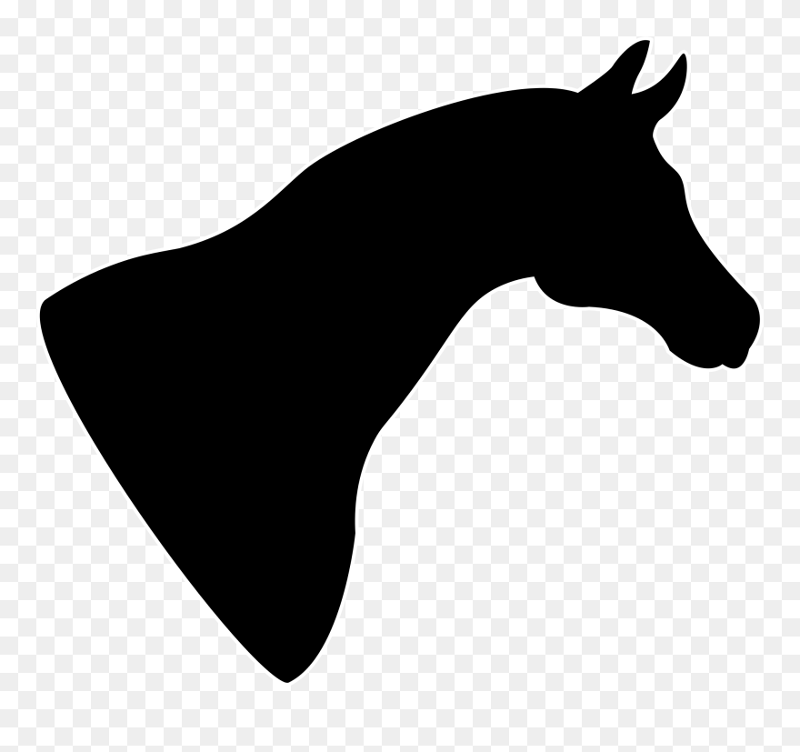 Download Png - Horse Head Silhouette Png Clipart