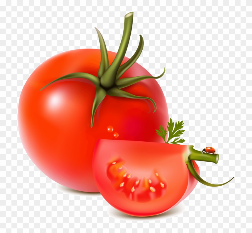 Tomato Png Image - Vegetables Fruits Vector Free Clipart