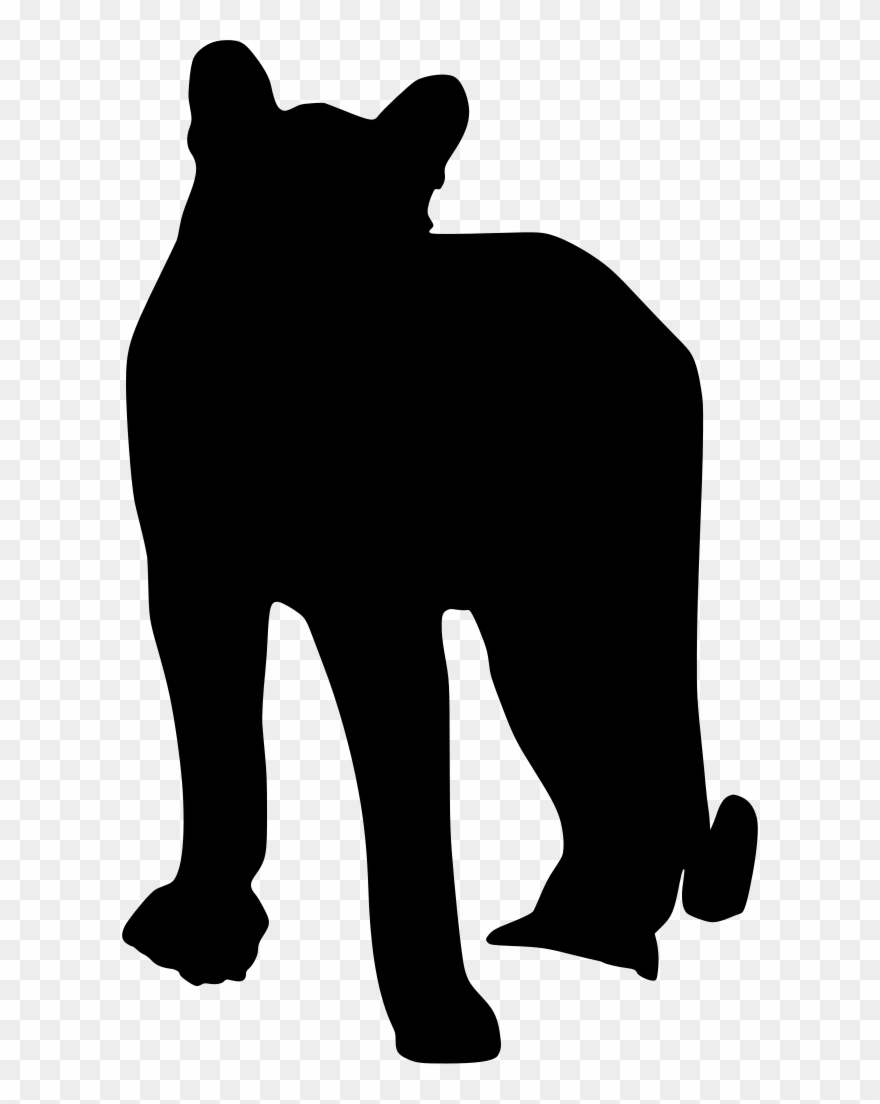 Download Png - Cougar Clipart