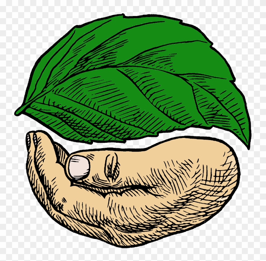 Sacred Seeds - Sacred Seed Clipart